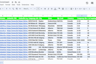 do company data enrichment
