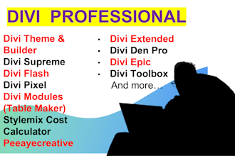 build your wordpress website with professional setup