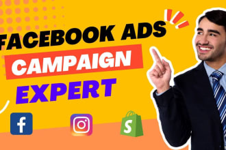 set up facebook and instagram ads campaign for shopify store