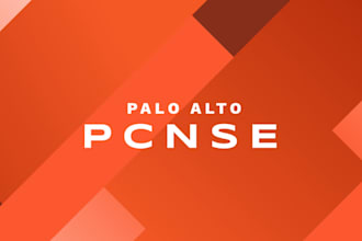 provide professional network and security services