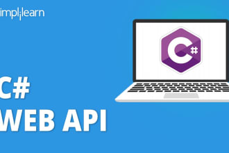 develop fully secure fast web API project in dot net core 8