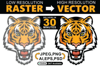 high quality logo recreation with vector tracing