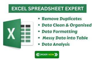 clean and organize your excel spreadsheet data like a pro