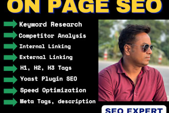 complete monthly on page seo service, on page expert