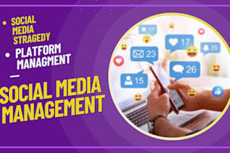 be your social media manager and content creator
