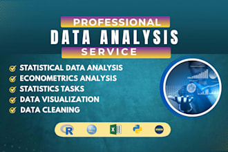 do statistical and econometrics data analysis with spss, rstudio, excel, python