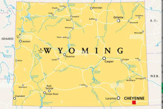 do filing of wyoming company state annual report with sos office