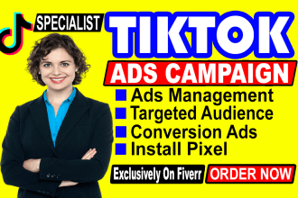 run tik tok ads campaign, tik tok video ads, tiktok advertising