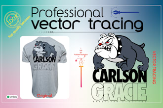 do vector tracing, color separation, and redraw