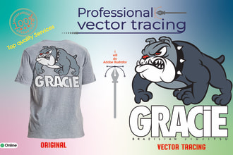 do vector tracing, color separation, and redraw