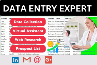 do data entry, web research, copy paste and excel data entry