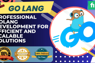 develop professional golang application