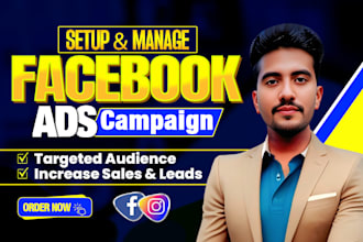 setup and manage facebook ads campaign for sales and leads, meta ads manager
