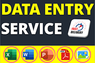 do excel data entry, data formatting, copy paste, web research
