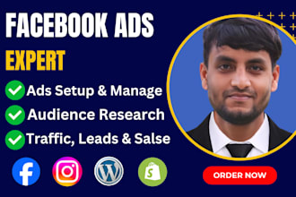 setup facebook ads campaign, instagram ads, fb advertising fb marketing