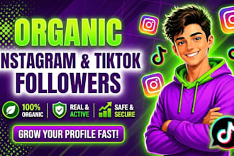 increase organic followers on instagram or tiktok