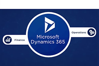 consult dynamics 365 finance and operations both functional technical