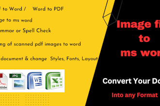 convert PDF to word, image to word