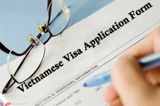 get you vietnamese visas and other immigration documents