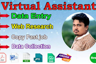 do professional data entry and web research job