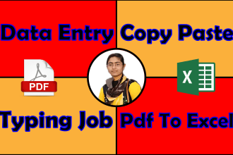 provide excel data entry, data entry, virtual assistant, copy paste team work