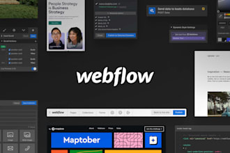 develop powerful custom webflow API integrations