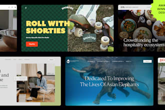 launch an impactful website from end to end on wordpress