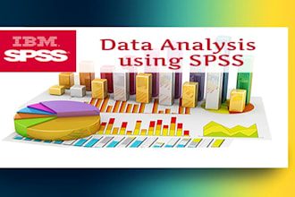 do statistical data analysis, reports and projects