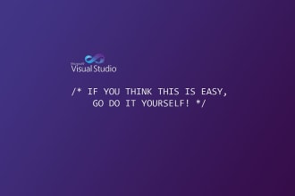 professional dot net developer for your project
