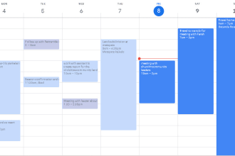 organize and manage your google calendar