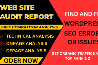 do website audits and fix technical SEO problems