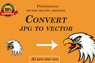 convert raster to vector, vector tracing