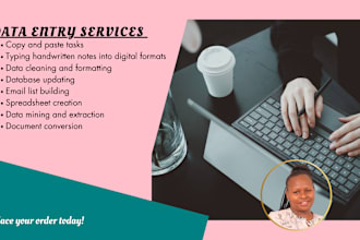 offer accurate data entry, typing and copy and paste