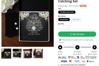 do custom shopify coding or fix shopify store bugs shopify developer