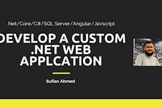 develop a custom dot net web application