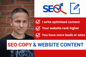 write SEO copy and website content as your website copywriter