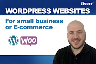 build small business and ecommerce websites in wordpress