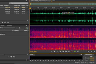 remove, isolate or extract vocals from song, make it instrumental