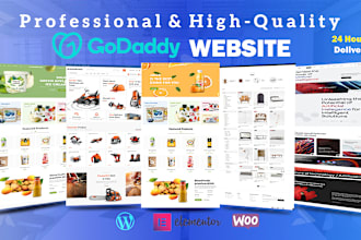 godaddy website design and redesign within 24 hours