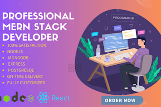 be your professional mern stack developer