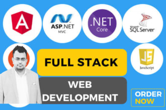 develop website rest API in dot net core and angular