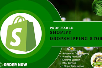 create a profitable shopify dropshipping store or customize it