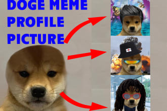make a crazy cool funny doge meme profile picture