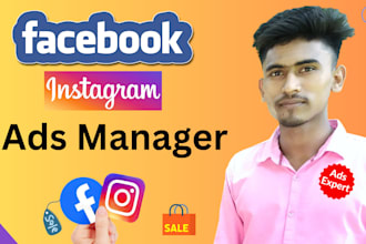 set up professional facebook and instagram ads campaigns for traffic and sales