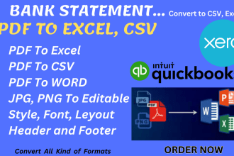 do PDF to excel, CSV, goggle sheet and bank statement reconcile in quickbooks
