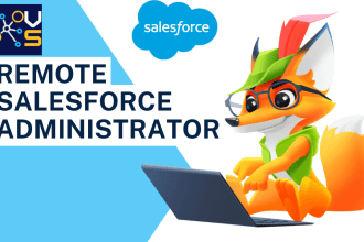your remote salesforce administrator