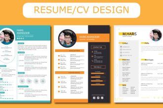 make professional cv, resume and portfolio design