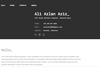 make premium websites for you