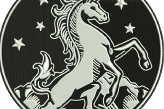 do embroidery digitizing into dst,pes in 1 hour