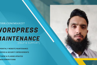 do wordpress website maintenance and support